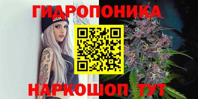 мдпв Шебекино